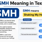 SMH Meaning