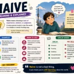naive meaning
