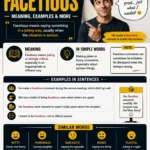 facetious meaning