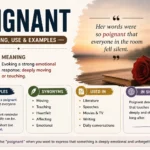 poignant meaning