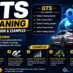gts meaning