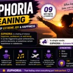 euphoria meaning