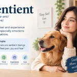 sentient meaning