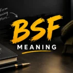 bsf meaning