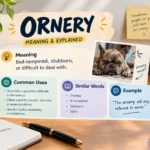 ornery meaning