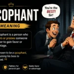sycophant meaning