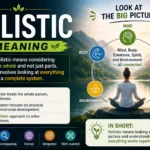 holistic meaning