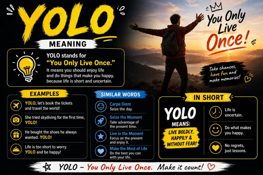 yolo meaning
