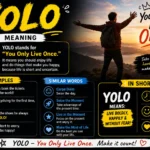 yolo meaning