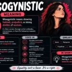 misogynistic meaning
